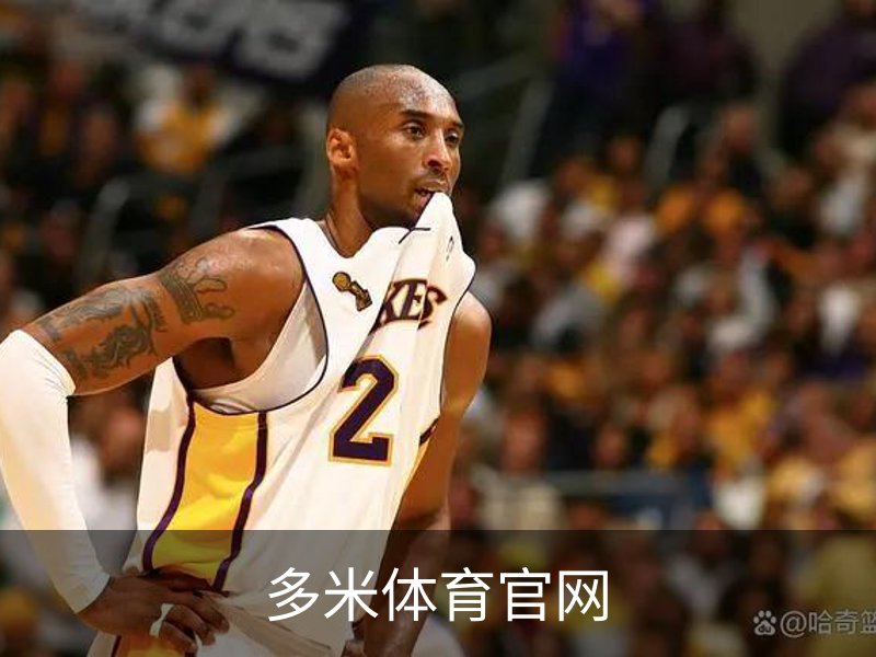 多米体育官网概况